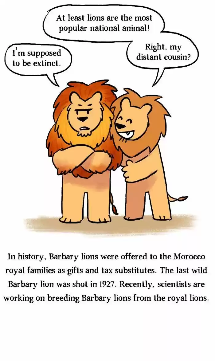 Roar Street Journal 121