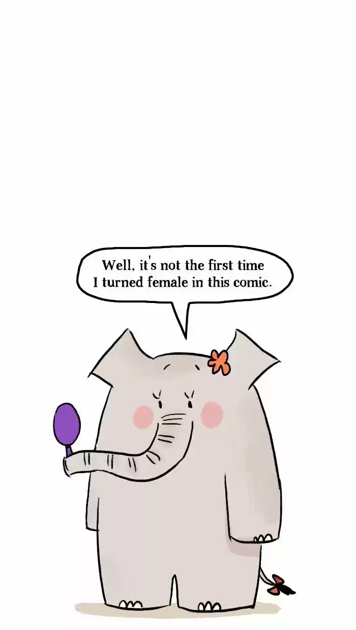 Roar Street Journal 123