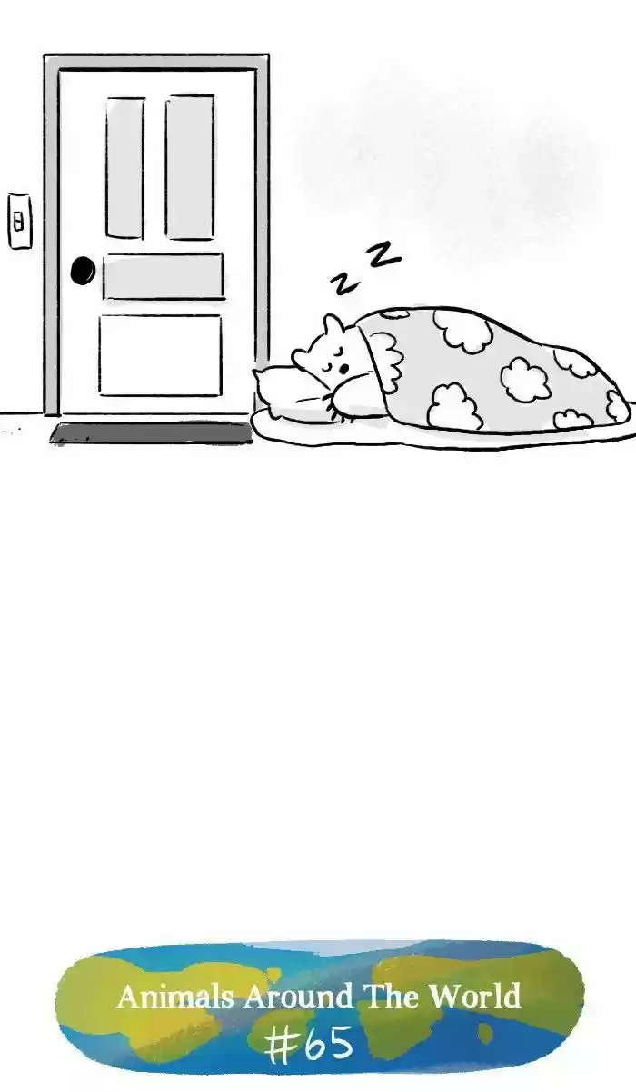 Roar Street Journal 127