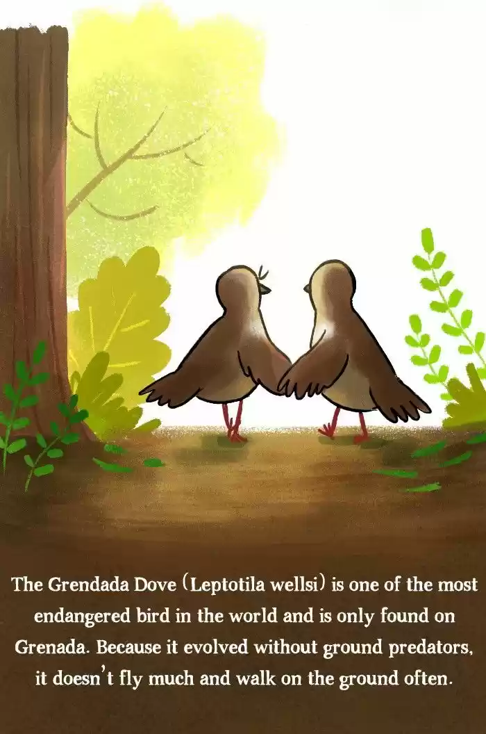 Roar Street Journal 127