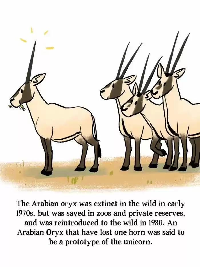 Roar Street Journal 128