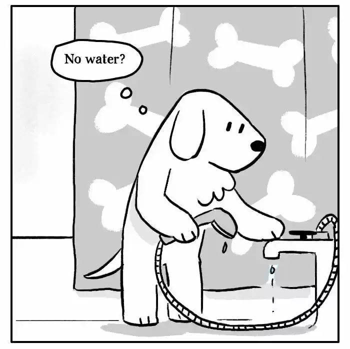 Roar Street Journal 130