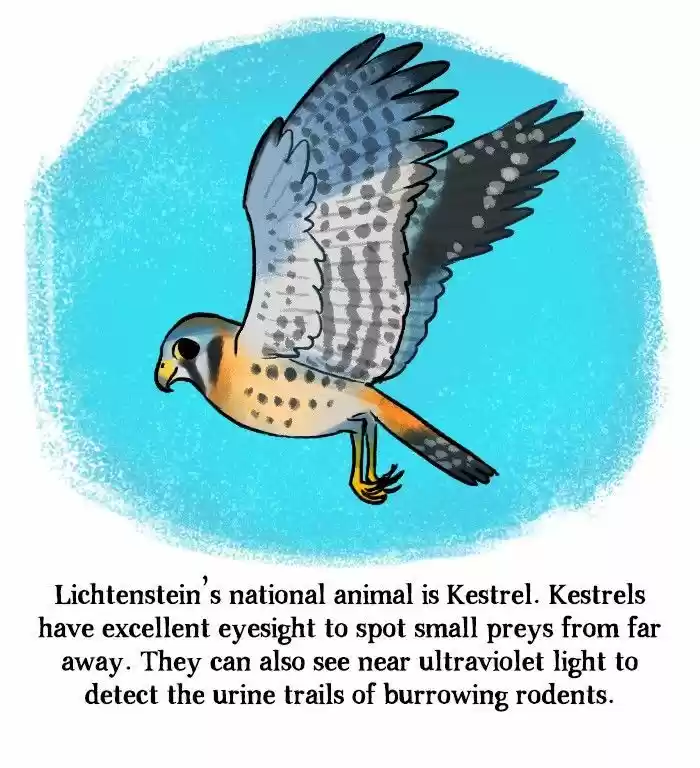 Roar Street Journal 130