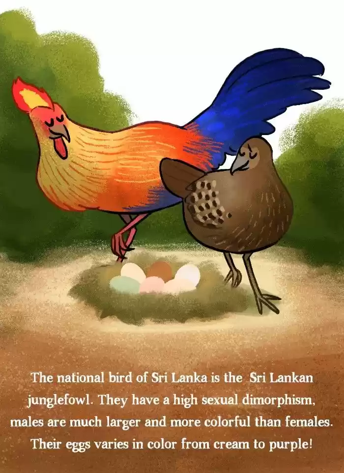 Roar Street Journal 131