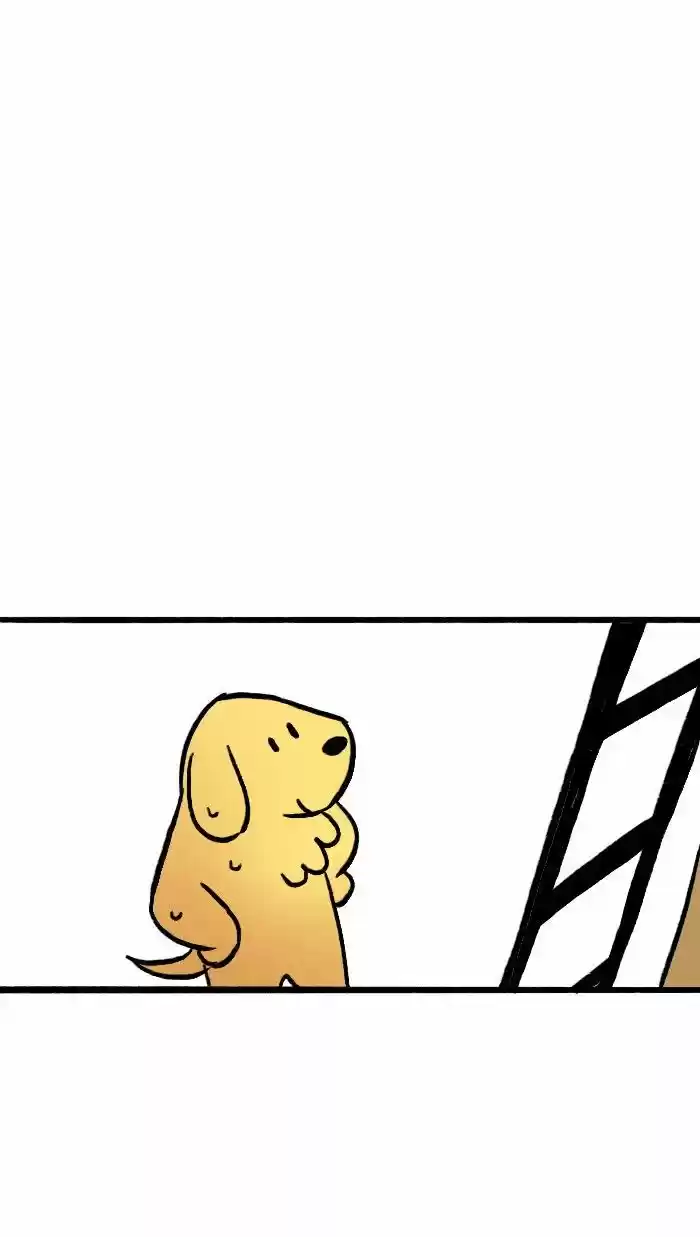 Roar Street Journal 135