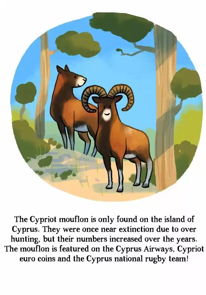 Roar Street Journal 135