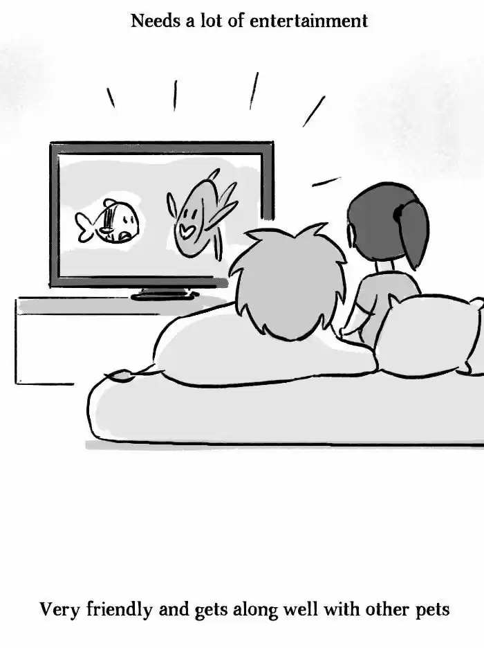 Roar Street Journal 136