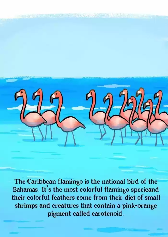 Roar Street Journal 136