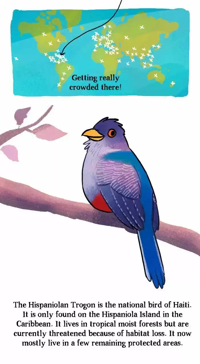 Roar Street Journal 139