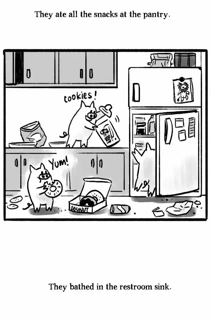 Roar Street Journal 14