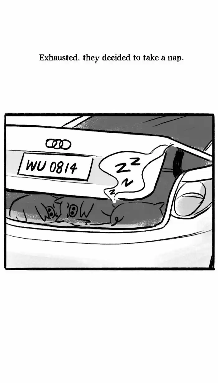 Roar Street Journal 14