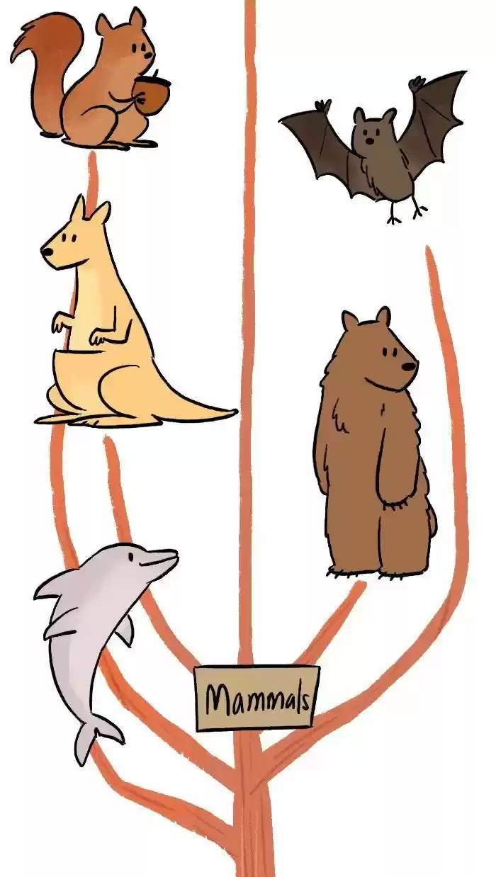 Roar Street Journal 140