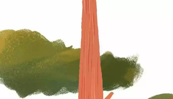 Roar Street Journal 140