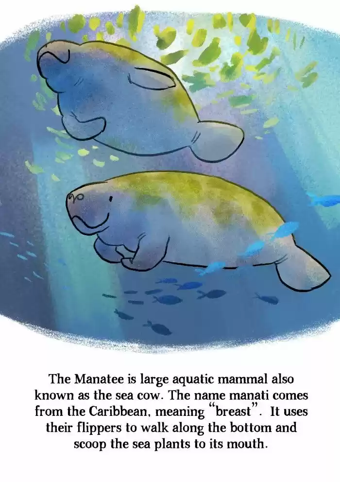 Roar Street Journal 141