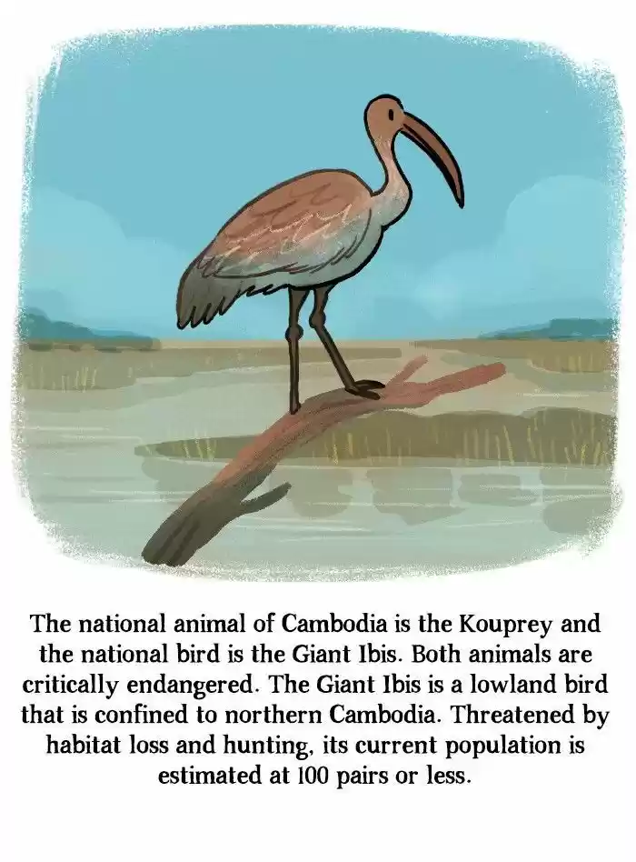 Roar Street Journal 142