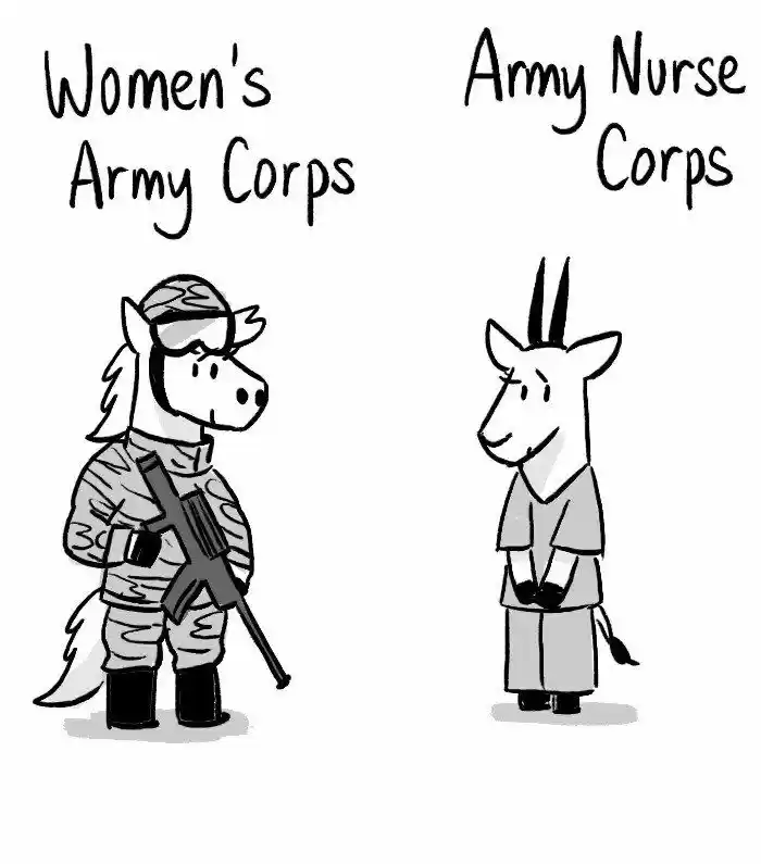 Roar Street Journal 144