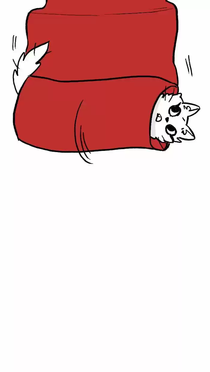 Roar Street Journal 144