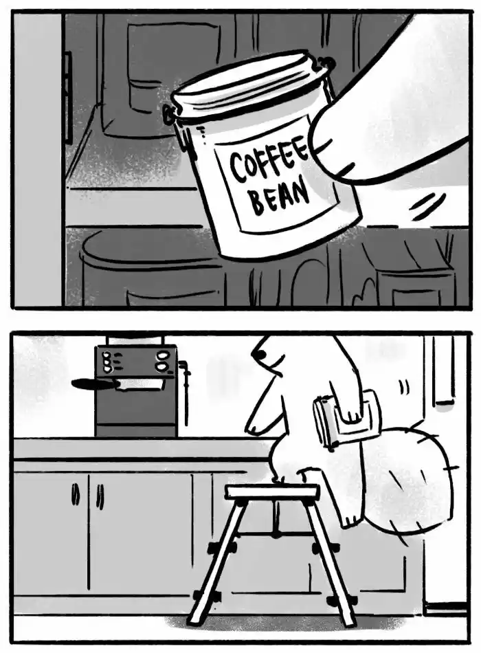 Roar Street Journal 17