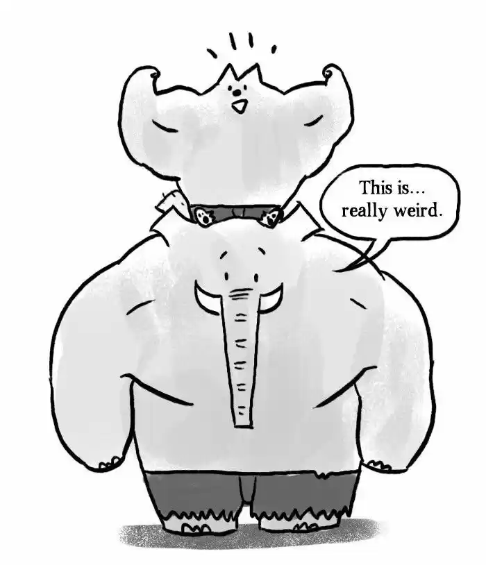 Roar Street Journal 19