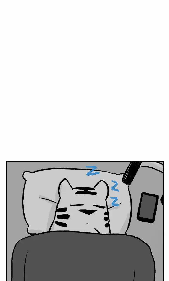 Roar Street Journal 230