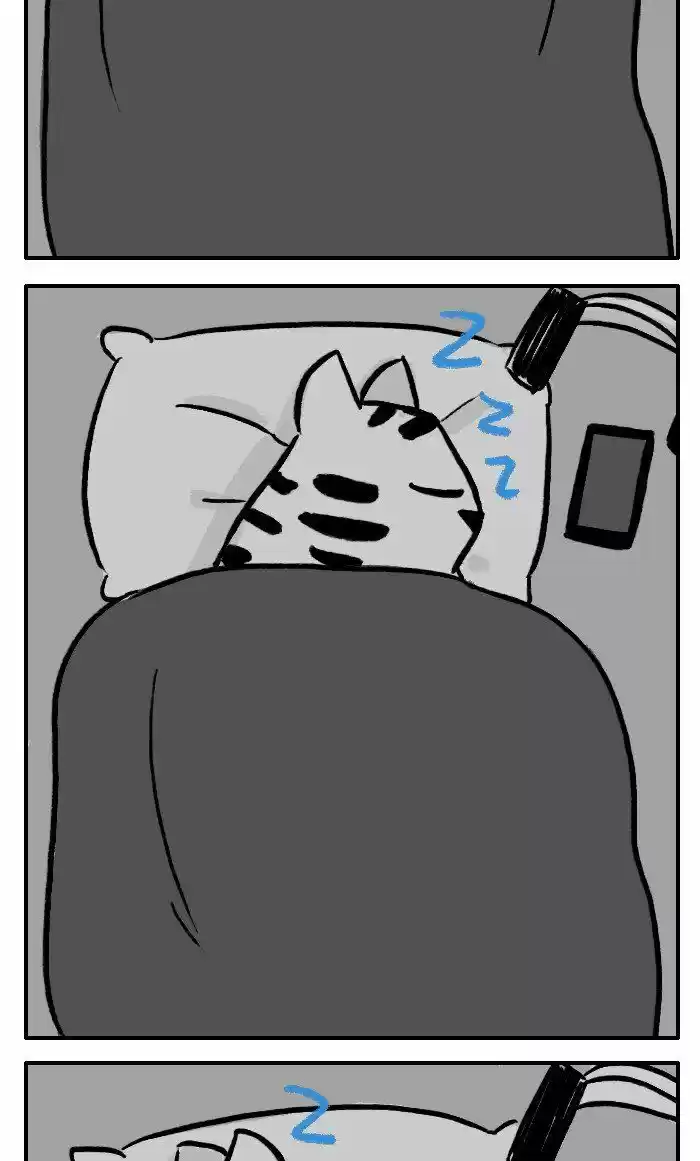 Roar Street Journal 230