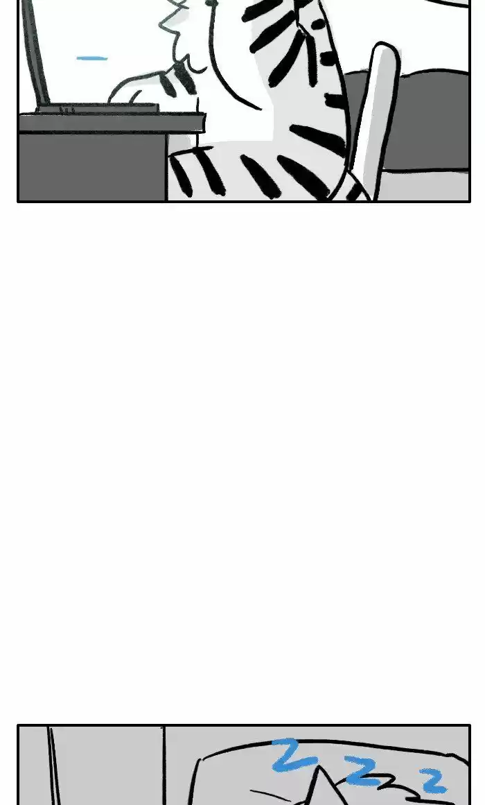 Roar Street Journal 230