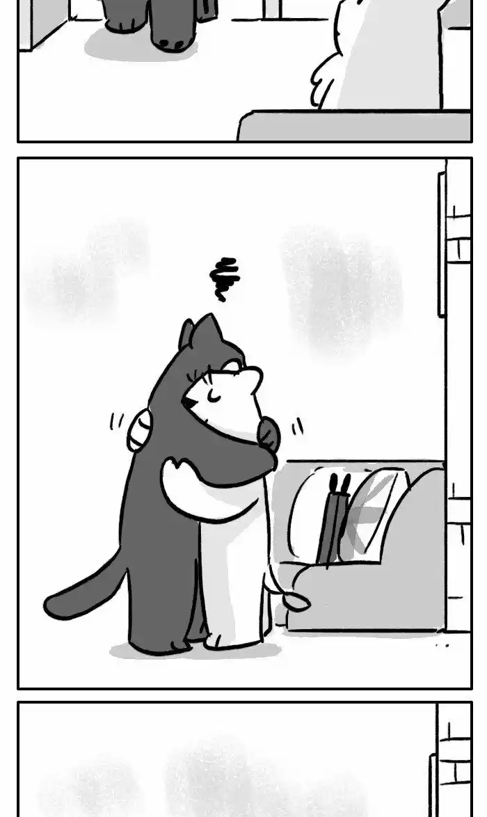 Roar Street Journal 247