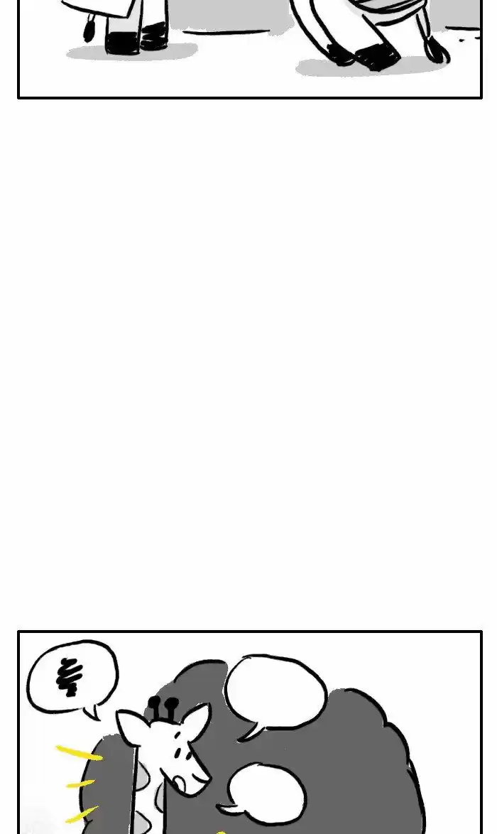 Roar Street Journal 247