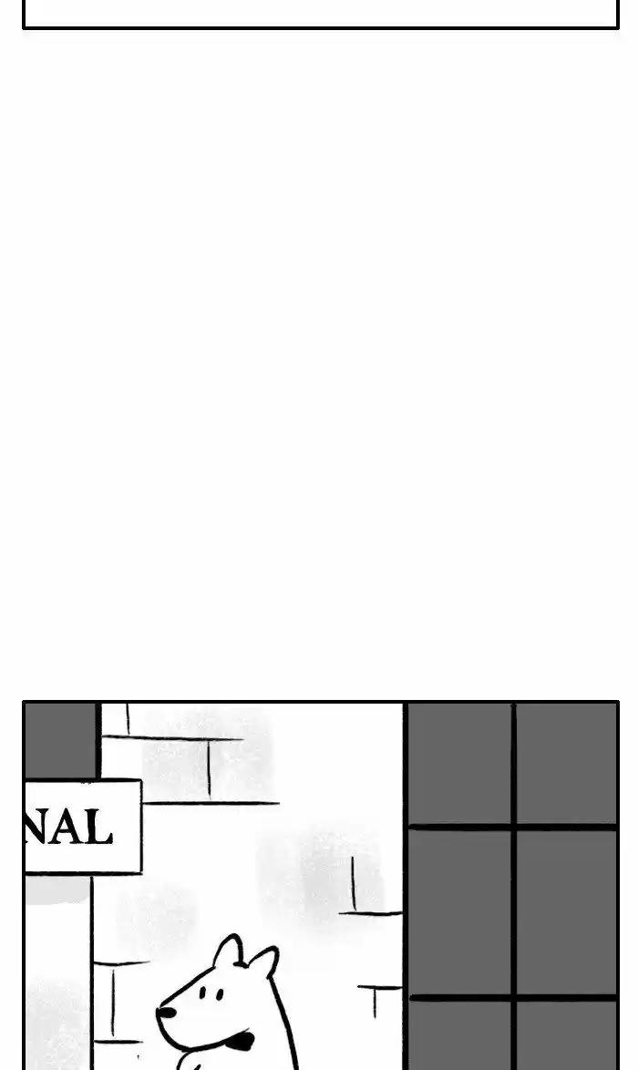 Roar Street Journal 247