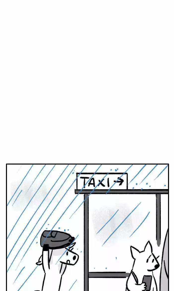 Roar Street Journal 249