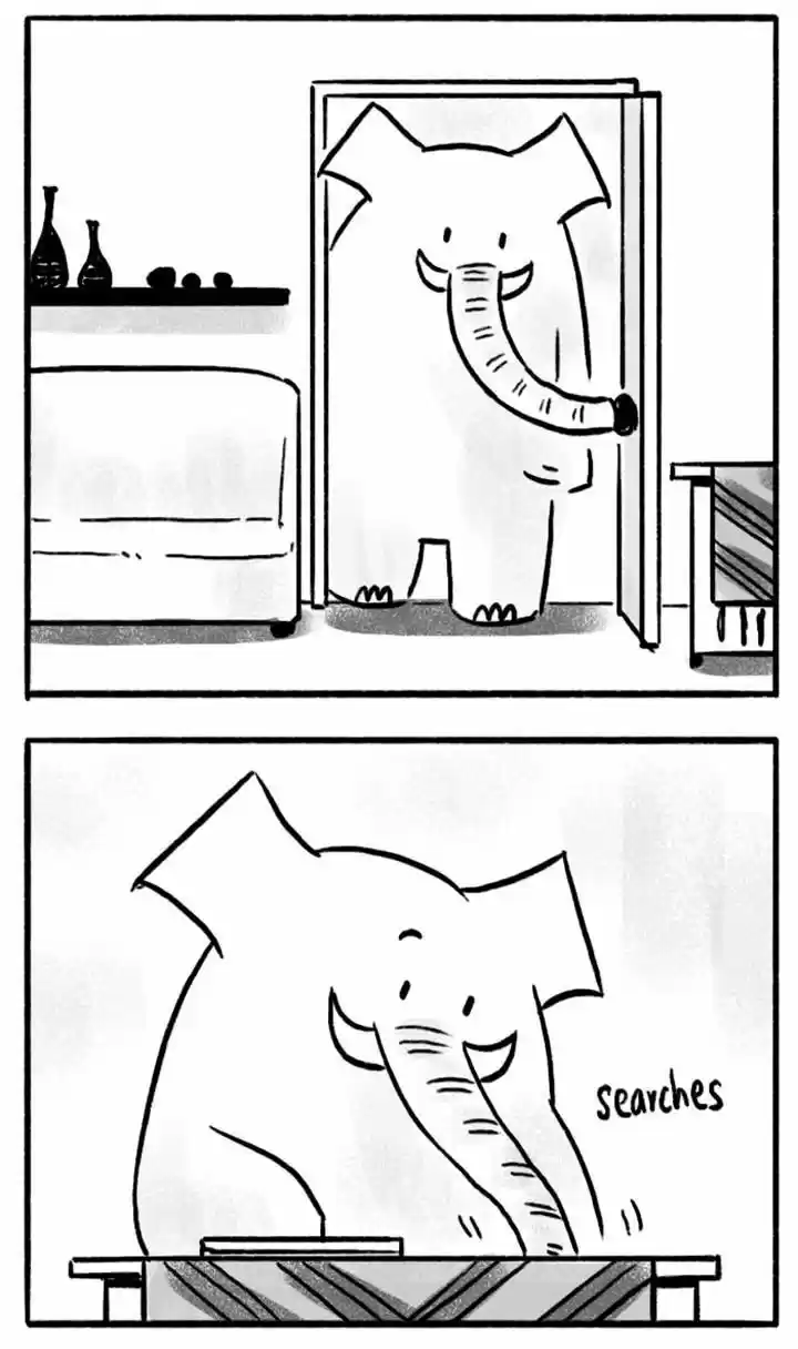 Roar Street Journal 26