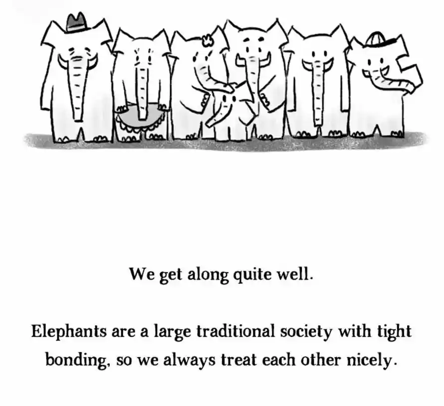 Roar Street Journal 26