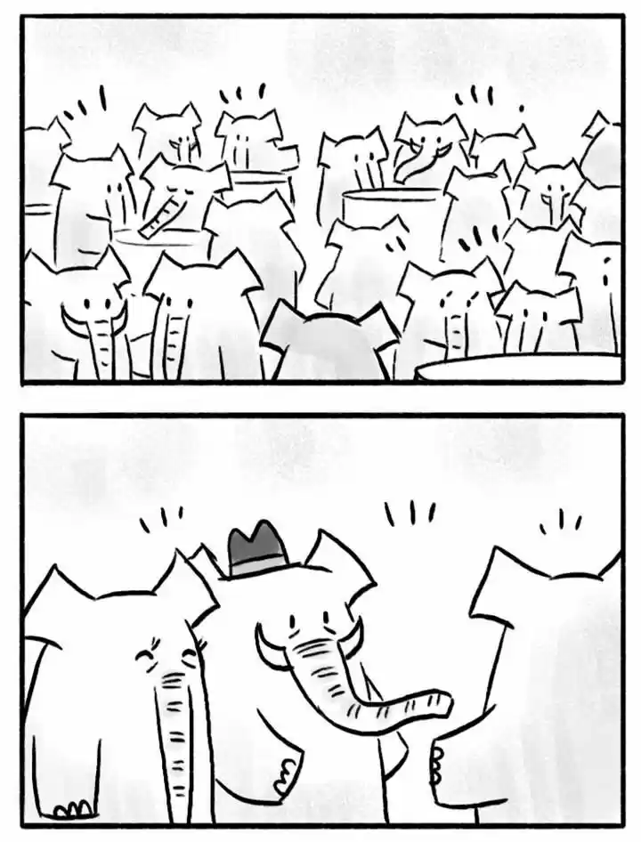 Roar Street Journal 26