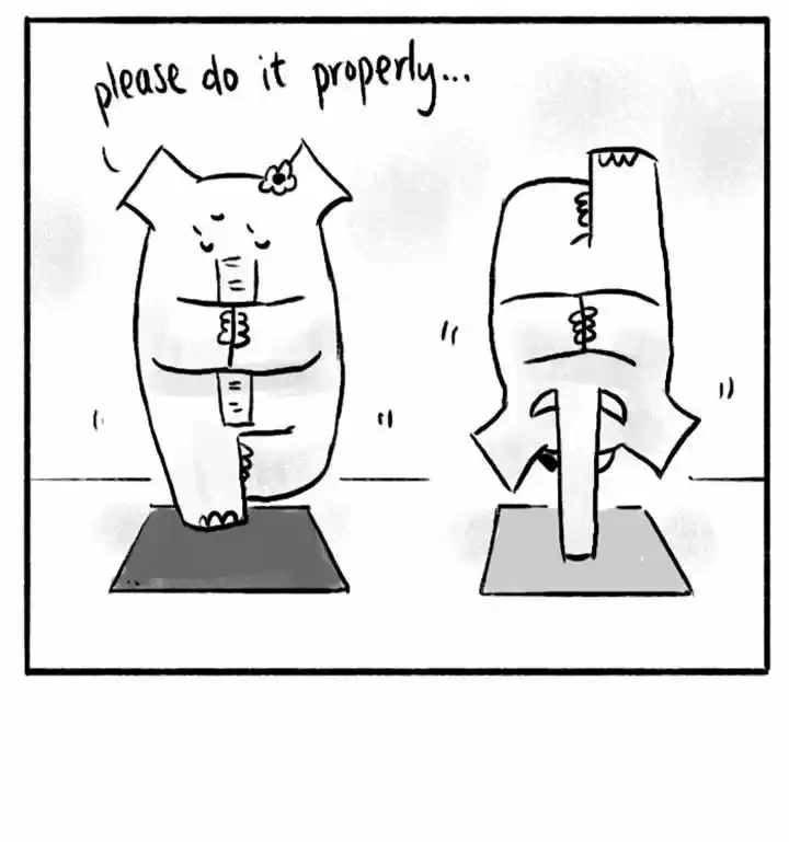 Roar Street Journal 26