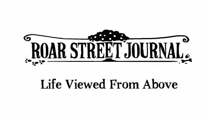 Roar Street Journal 3