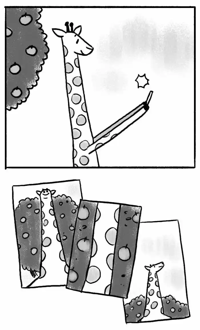 Roar Street Journal 3