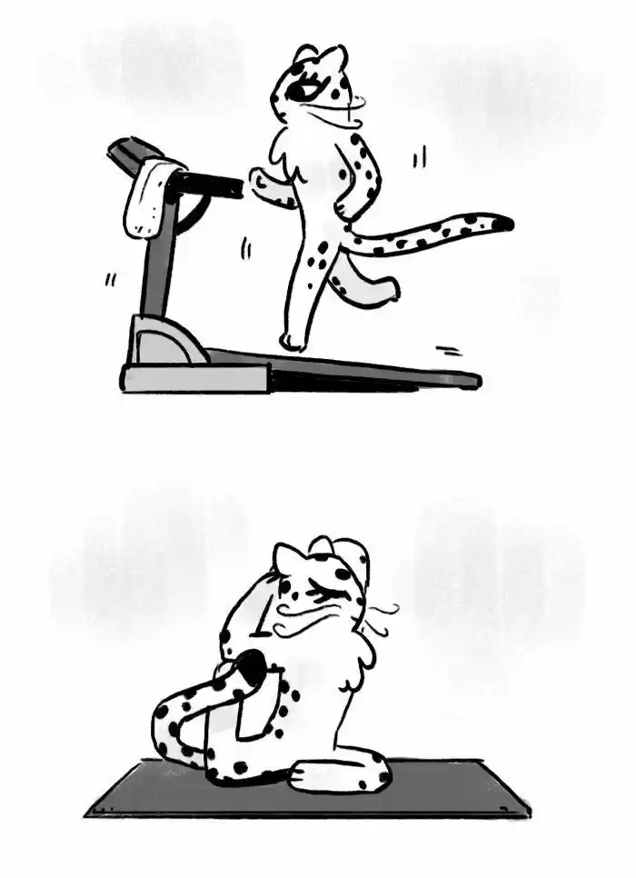 Roar Street Journal 30