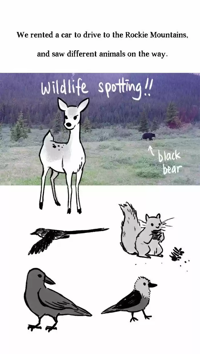 Roar Street Journal 31