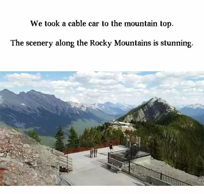 Roar Street Journal 31