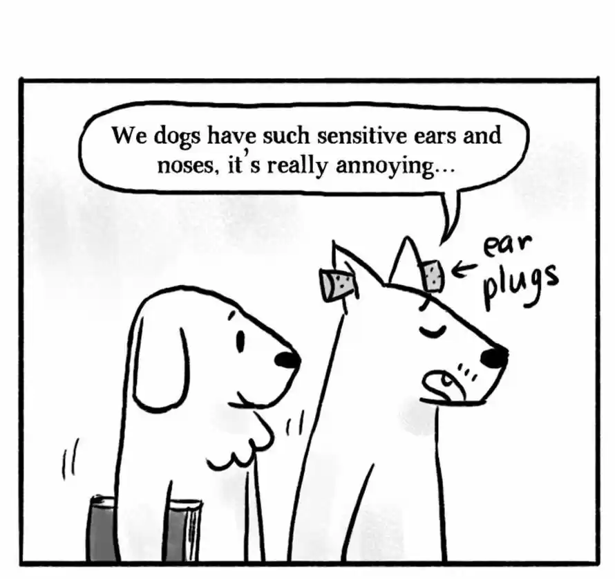 Roar Street Journal 35