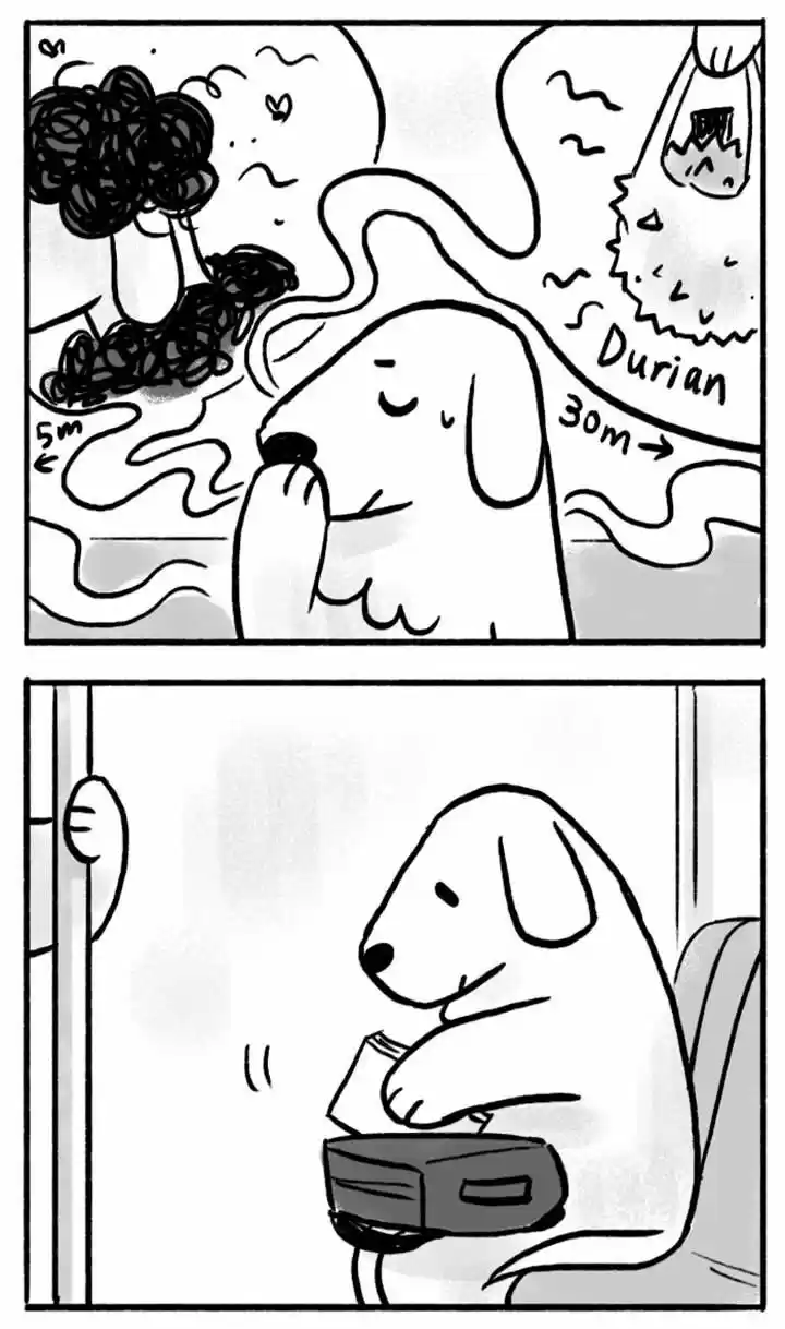 Roar Street Journal 35