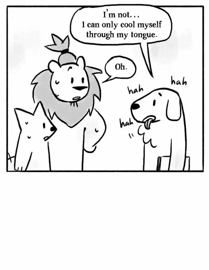 Roar Street Journal 36