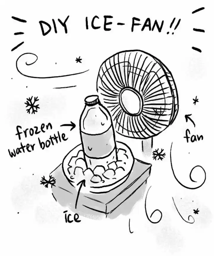 Roar Street Journal 36