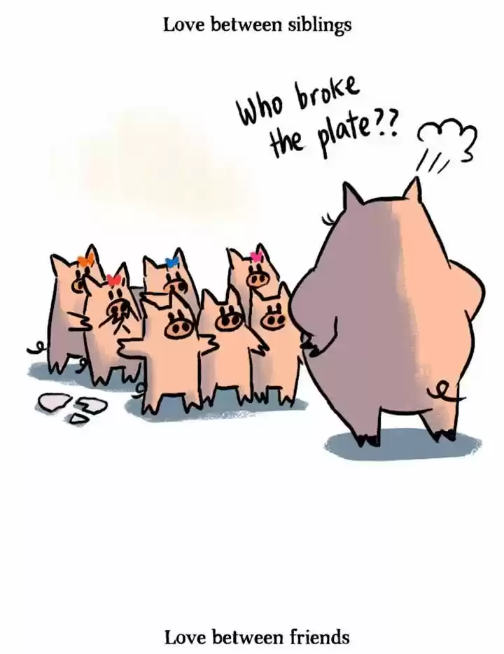 Roar Street Journal 41