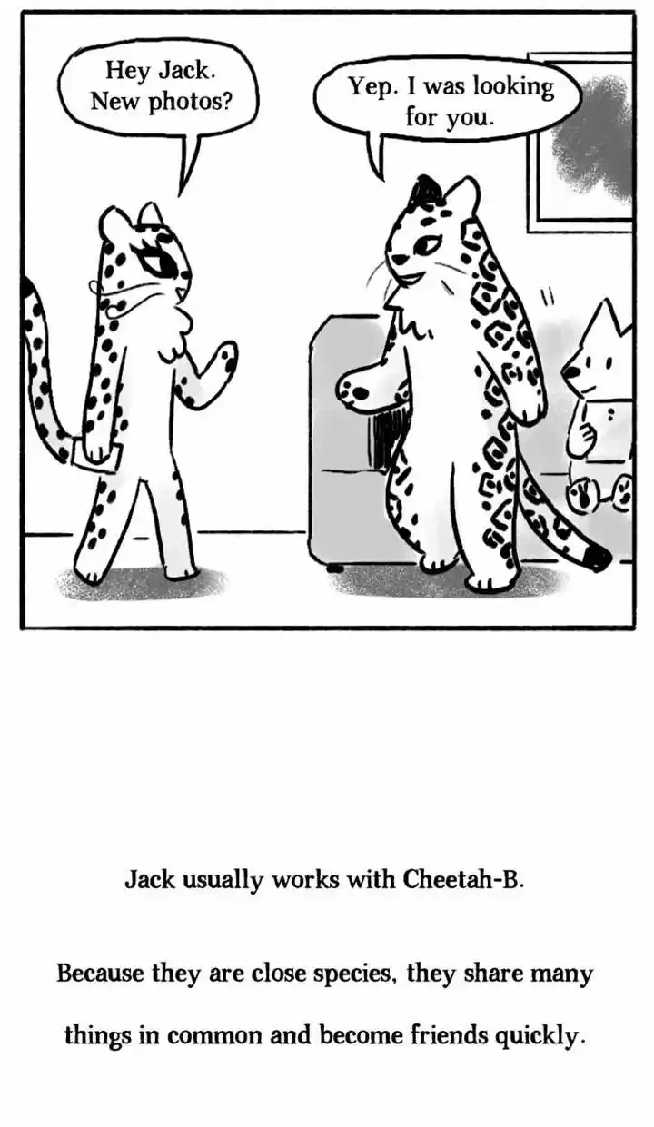 Roar Street Journal 43