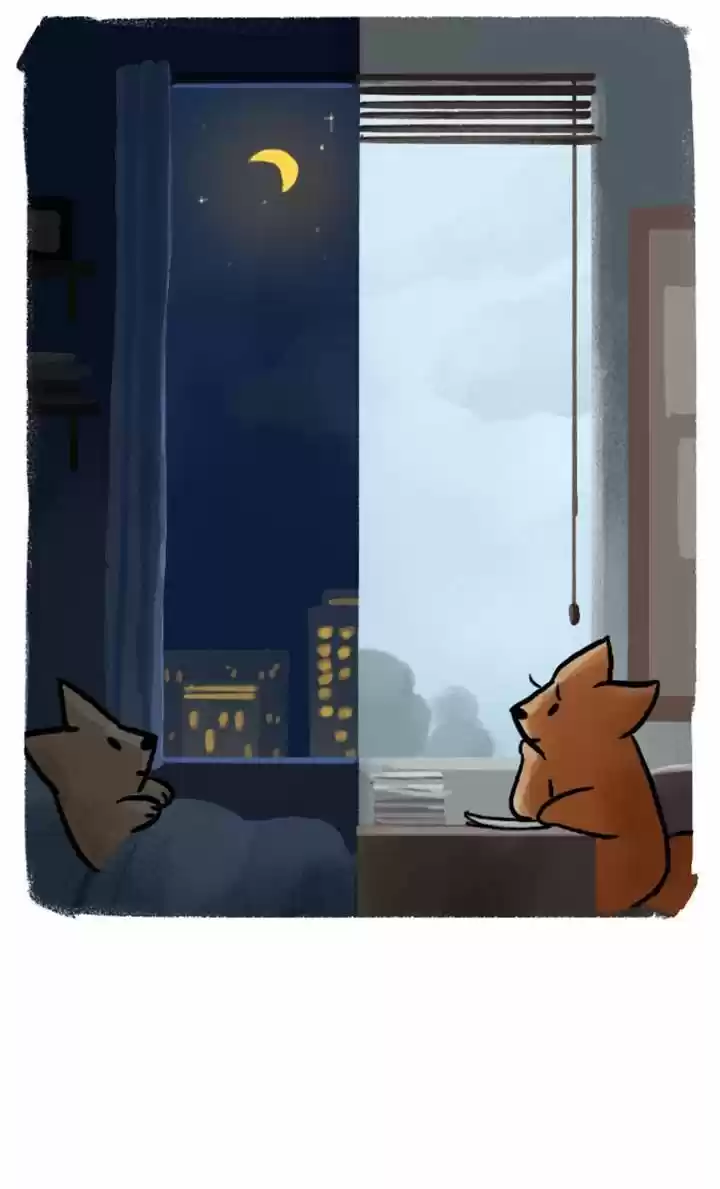 Roar Street Journal 44