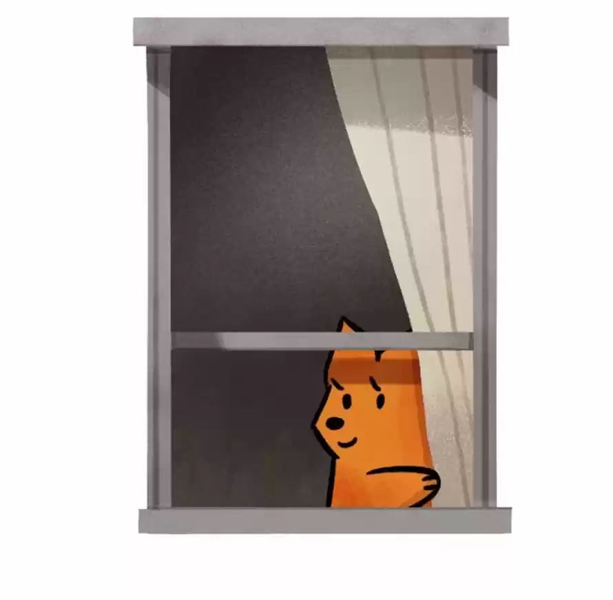 Roar Street Journal 45