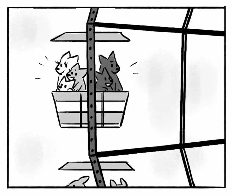 Roar Street Journal 47