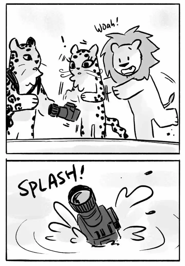 Roar Street Journal 48