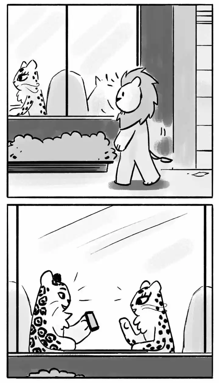 Roar Street Journal 49